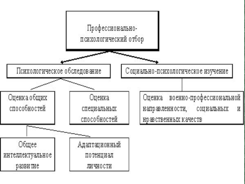 Профессиональный отбор презентация