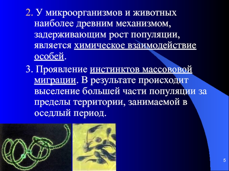 Взаимодействие особей. Взаимоотношения животных и микроорганизмов. Взаимодействие животных и микроорганизмов. Взаимодействие бактерий и животных. Взаимоотношения микроорганизмов с животными.