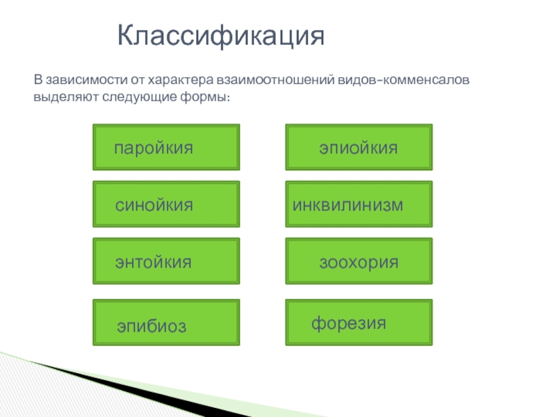 Подразделяются в зависимости от характера. Комменсализм классификация. Классификация взаимоотношений видов. Комменсализм подразделяется. Синойкия характер взаимоотношений.