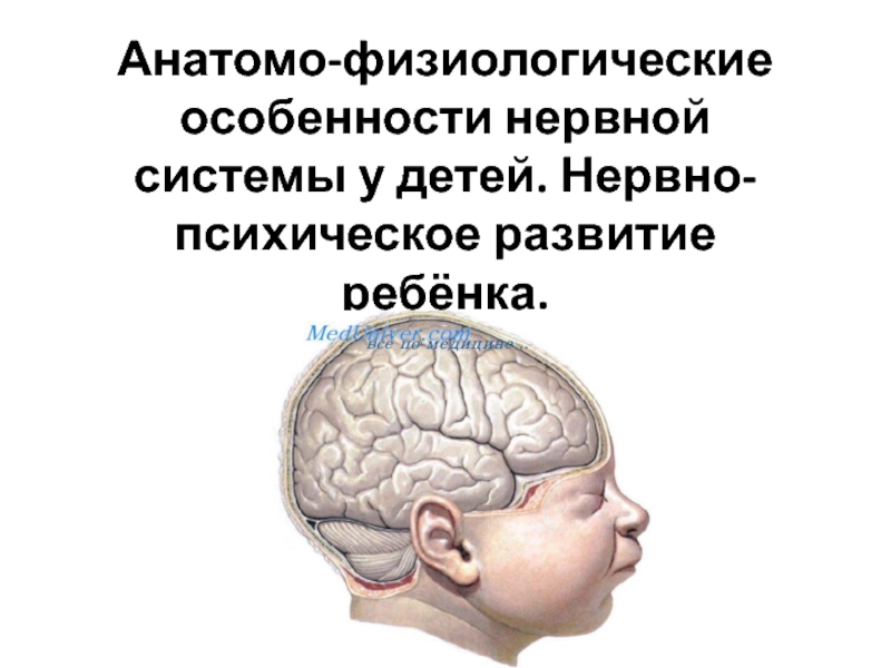 Анатомо-физиологические особенности нервной системы у детей. Нервно-психическое