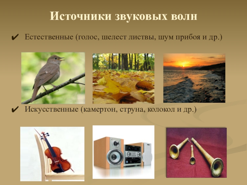 Источник звука рисунок