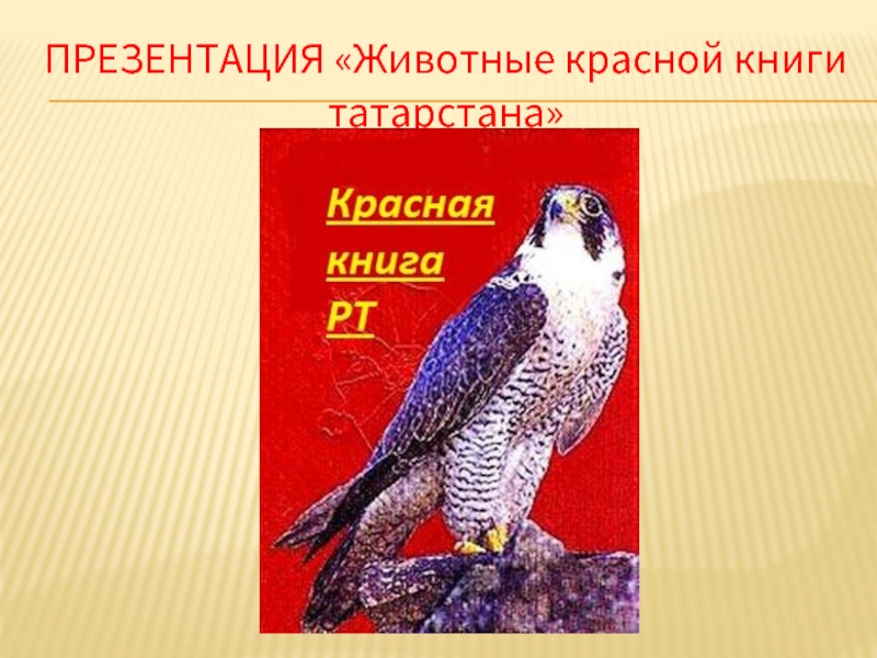 Презентация Красная книга Татарстана, животные