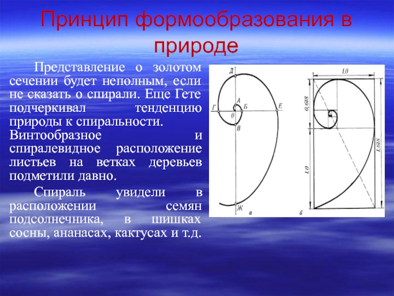 Золотое сечение в природе и искусстве презентация