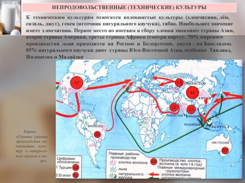 Карта производства натурального каучука