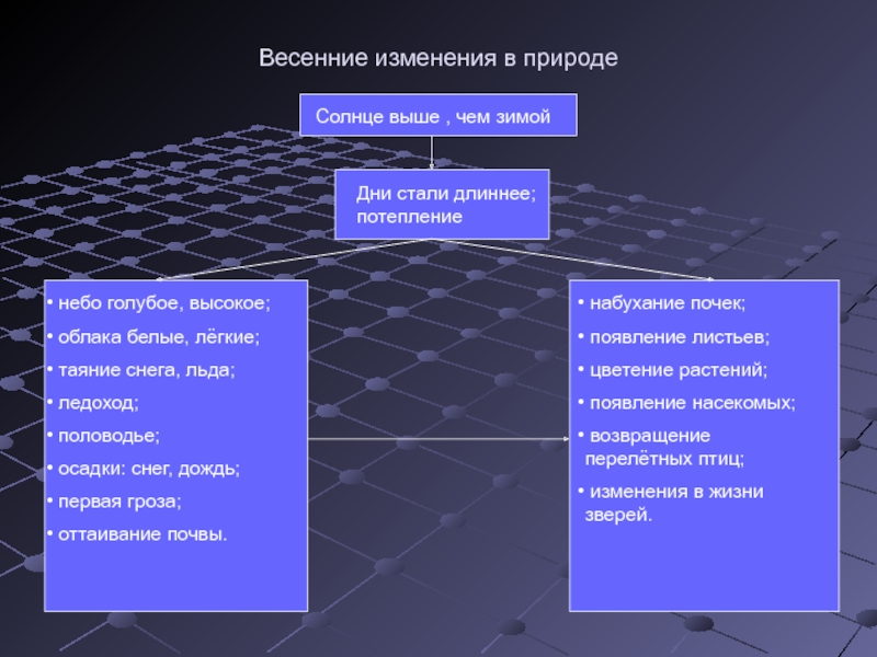 Стали длиннее. Солнце выше чем зимой дни становятся длиннее.