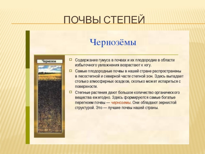 Какая почва в степи. Почвы степи. Почва степи кратко. Почвы степи в России. Характеристика почвы в степи.