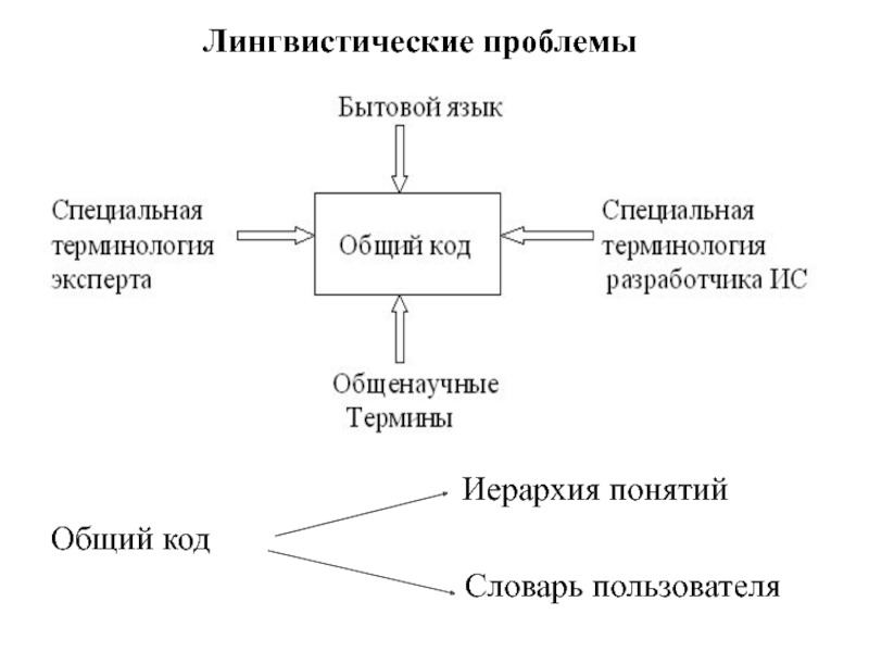 Языковые проблемы. Лингвистические проблемы. Эколингвистические проблемы. Лингвистические термины.