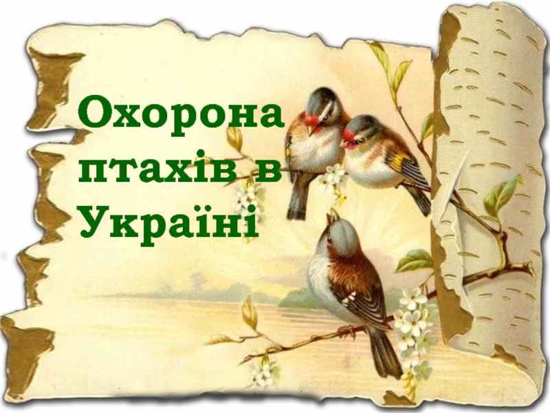 Охорона птахів в Україні
