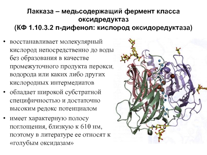 Инженерная энзимология презентация