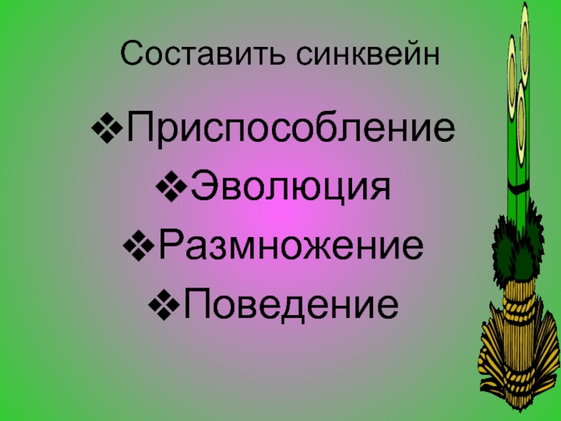 Приспособления эволюции