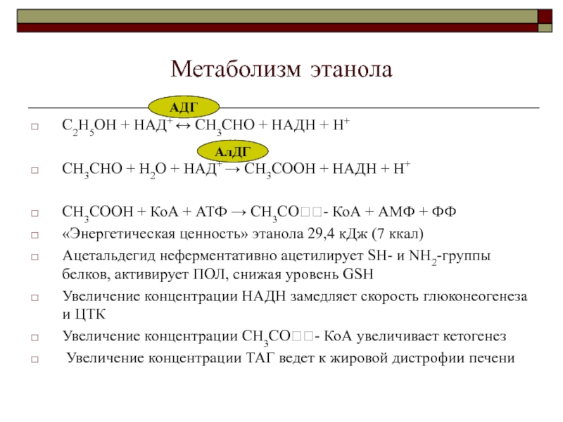 Метаболизм этанолаС2Н5ОН + НАД+ ↔ СН3СНО + НАДН + Н+СН3СНО + Н2О + НАД+ → СН3СООН +