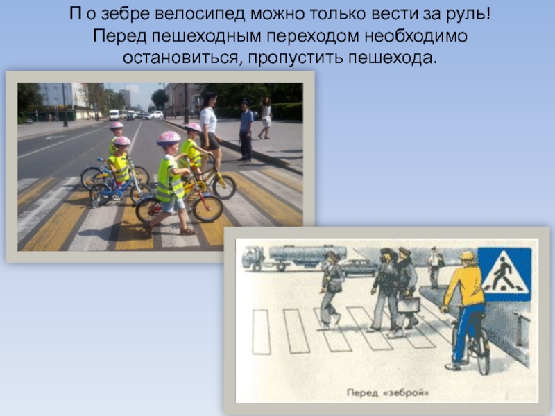 Велосипедист по пешеходному переходу должен. Переход пешеходов и велосипедистов. Правила велосипедиста на пешеходном переходе. Велосипедист на пешеходном переходе ПДД. Велосипед на пешеходном переходе.
