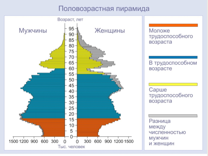 План анализа половозрастной пирамиды