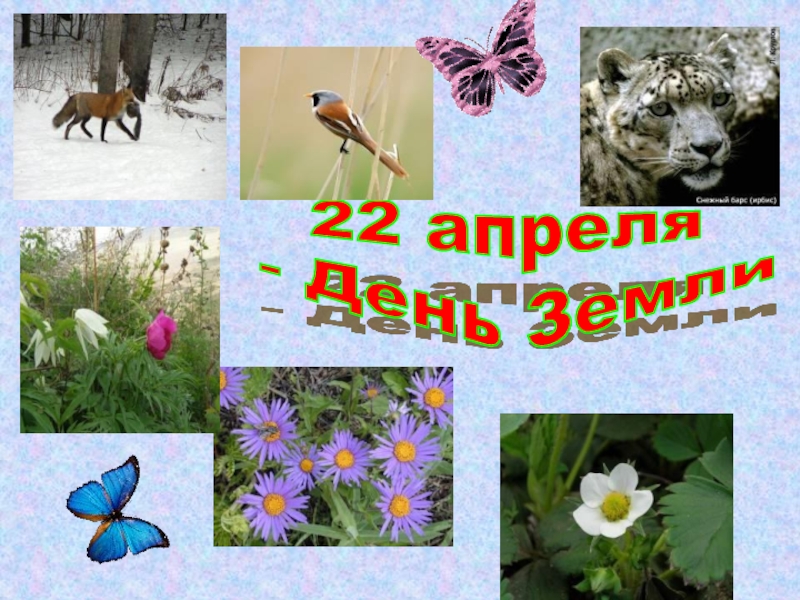 Урок 1 класса природа. Что такое природа 1 класс окружающий мир. Природа в классе 1 класс окружающий мир.