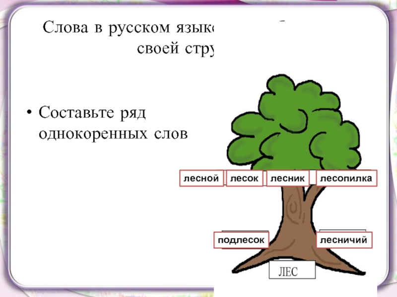 Из какого языка пришло слово лес