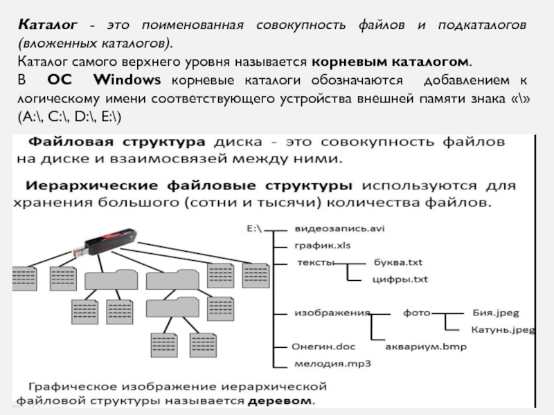 Поименованная совокупность файлов и подкаталогов это