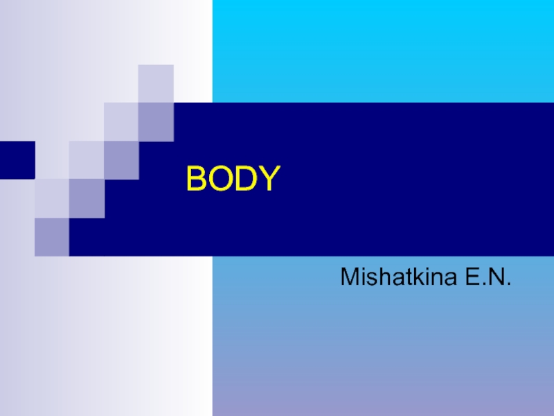 Презентация Body