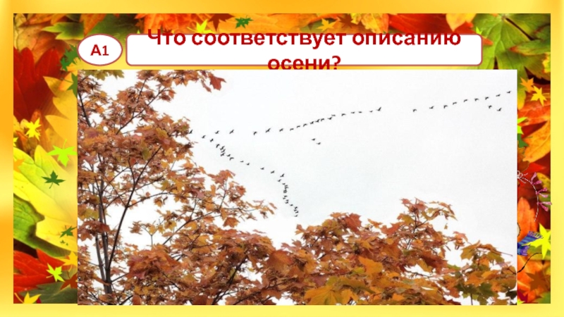 2 класс тест люблю природу русскую осень. Что соответствует осени. Викторина 5а осень. Люблю природу русскую осень вариант 2. Люблю природу русскую осень 2 класс тест.