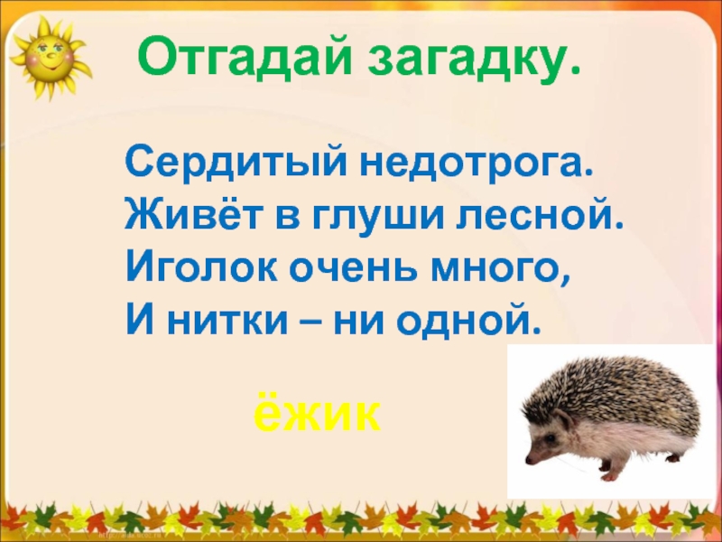 Ежа 2 класс