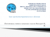 Презентация.Урок предметно-практического обучения. Аппликация. Ветка мимозы.