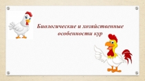 Биологические и хозяйственные
особенности кур