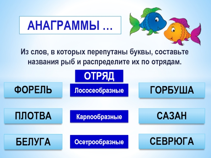 Анаграммы для детей. Слова анаграммы. Составь анаграммы. Имена для рыбок. Имена анаграммы.