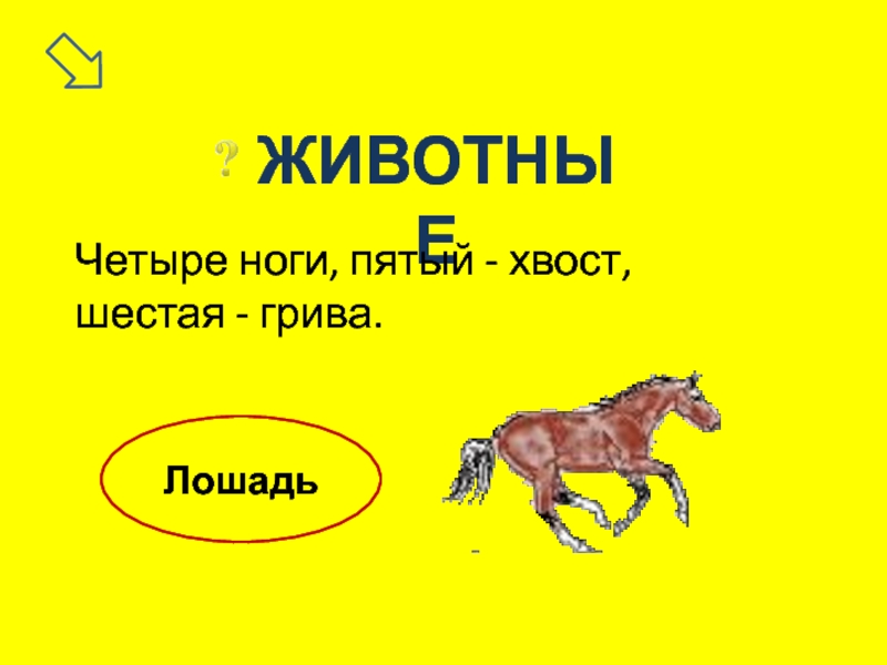 Пятая нога. Четыре ноги, пятый – хвост, шестая – грива.. Грива другое слово.