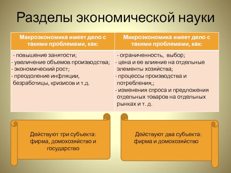 Разделы экономической науки. Действуют два субъекта: фирма и домохозяйство. Разделы экономической науки таблица 11 класс. Государственное Разделение экономики.