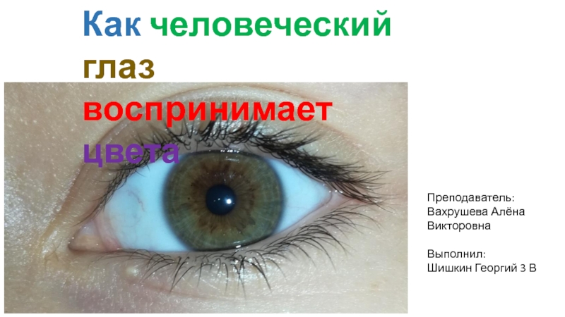 Как человеческий глаз
воспринимает цвета
Преподаватель:
Вахрушева Алёна