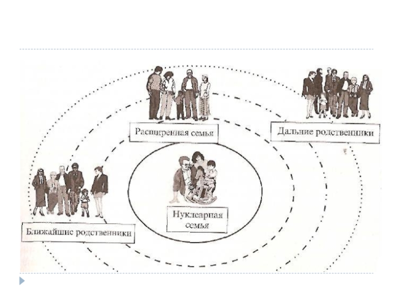 Семейная система роли