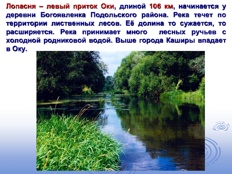 Лопасня – левый приток Оки, длиной 106 км, начинается у деревни Богоявленка Подольского района. Река течет по
