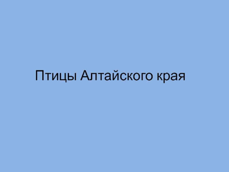 Птицы Алтайского края