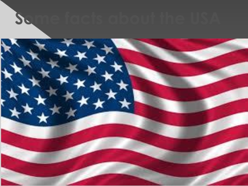 Некоторые факты о США