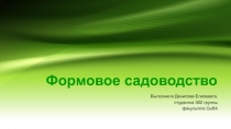 Формовое садоводство