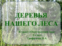 Деревья нашего леса (1 класс)