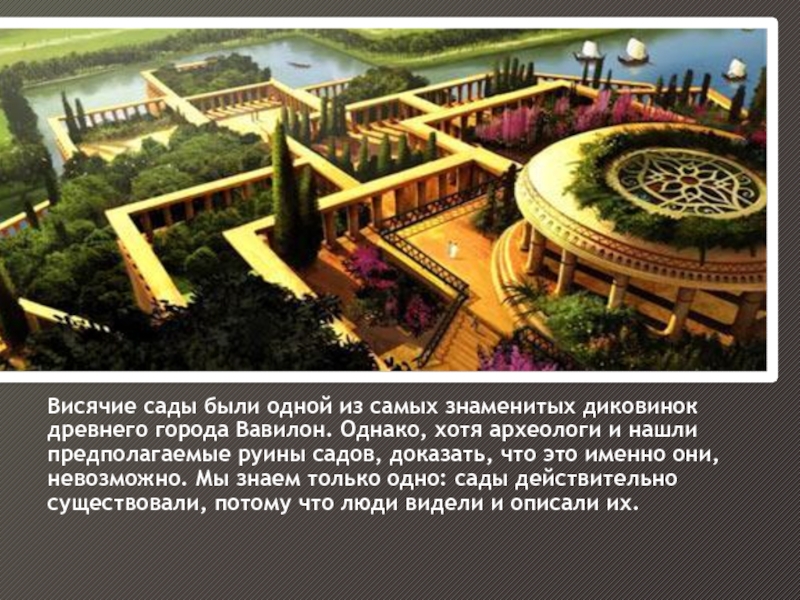 Висячие сады были одной из самых знаменитых диковинок древнего города Вавилон. Однако, хотя археологи и нашли предполагаемые
