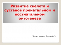 Развитие скелета и суставов пренатальном и постнатальном онтогенезе 