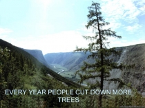 Every year people cut down more trees