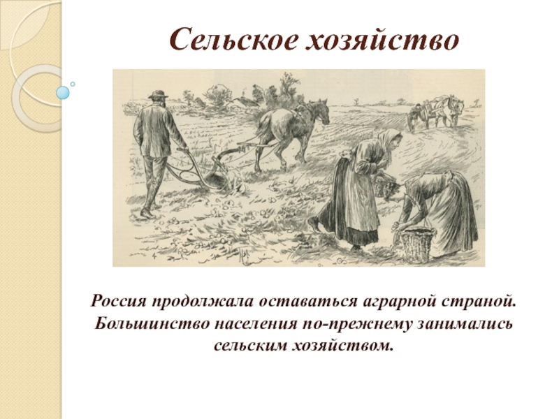 История сельского хозяйства. Сельское хозяйство в 18 веке в России. Сельское хозяйство в первой четверти 18 века. Сельское хозяйство в России в первой половине 18 века. Сельское хозяйство в первой четверти 19 века.