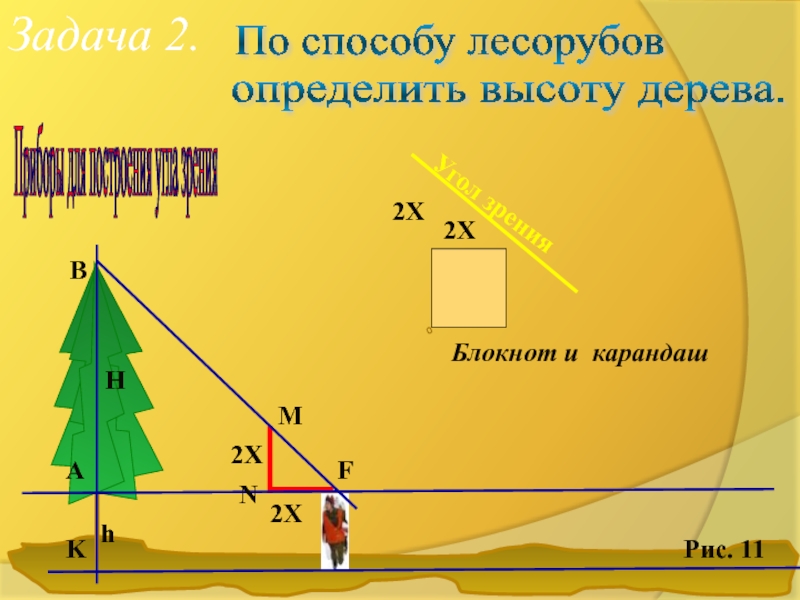 Применения подобия треугольников к решению задач. Определение высоты дерева. Определить высоту дерева. Как найти высоту дерева геометрия. Применение подобия к решению задач 8 класс.