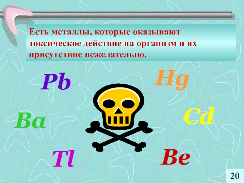 Влияние тяжелых металлов на здоровье человека проект