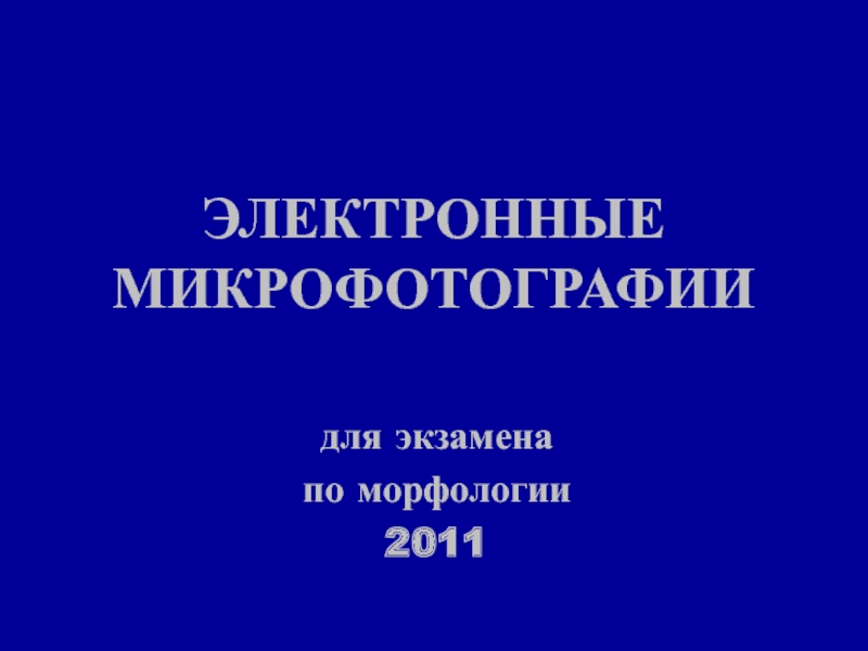 ЭЛЕКТРОННЫЕ МИКРОФОТОГРАФИИ