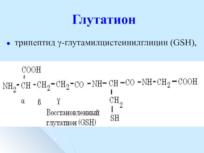 Схема образования дипептида гис гли