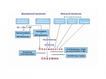Презентация