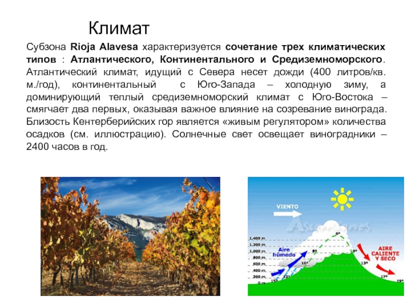 Континентальный тип климата. Климат. Средиземноморского типа климата. 3 Вида климата.