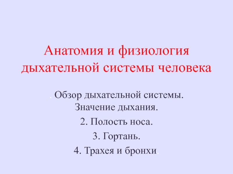 Презентация Анатомия и физиология дыхательной системы человека