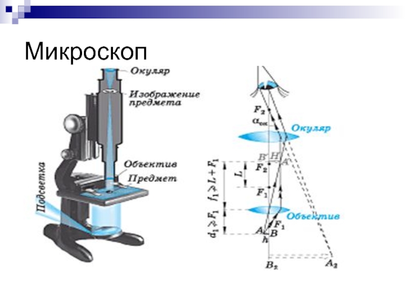 Изображение даваемое микроскопом. Оптический микроскоп оптическая схема. Оптическая схема окулярного микроскопа. Микроскоп чертеж физика оптика. Строение оптического микроскопа схема.