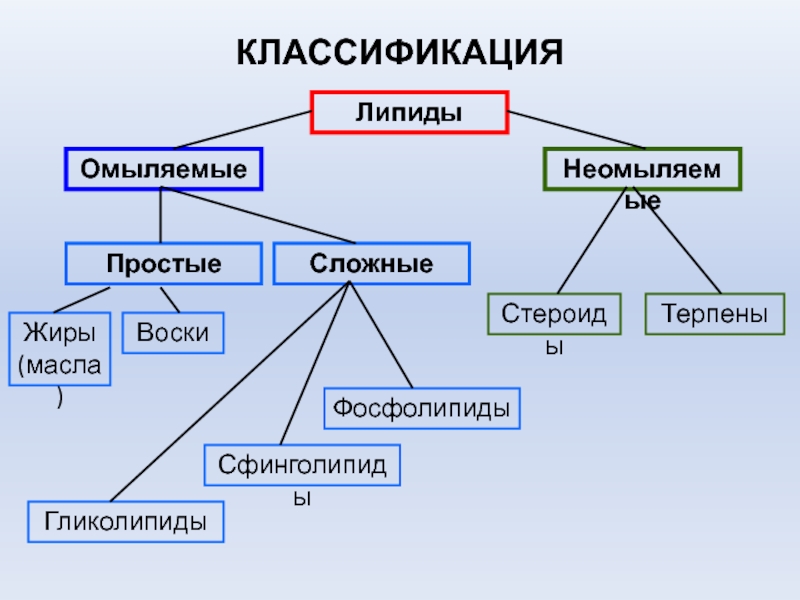 Простые омыляемые липиды