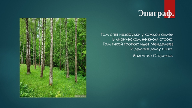 Тихой тропы. Эпиграф к презентации об Урале.