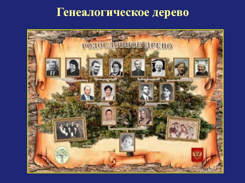 Семейные традиции 9 класс. Семейное Древо традиций. Дерево семейных традиций. Дерево традиций семьи. Родословная семейные традиции.